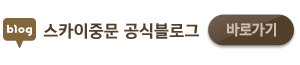 스카이중문