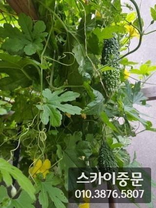 시공사징9_057.jpg