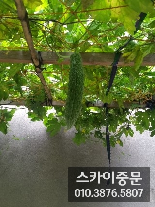 시공사징9_055.jpg