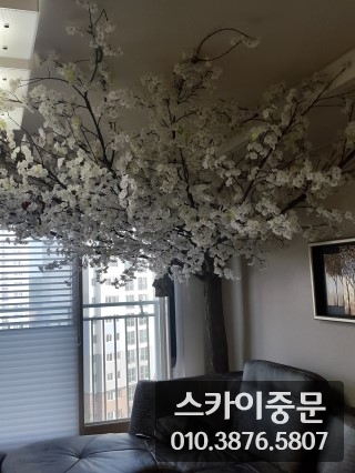 사진33_005.jpg